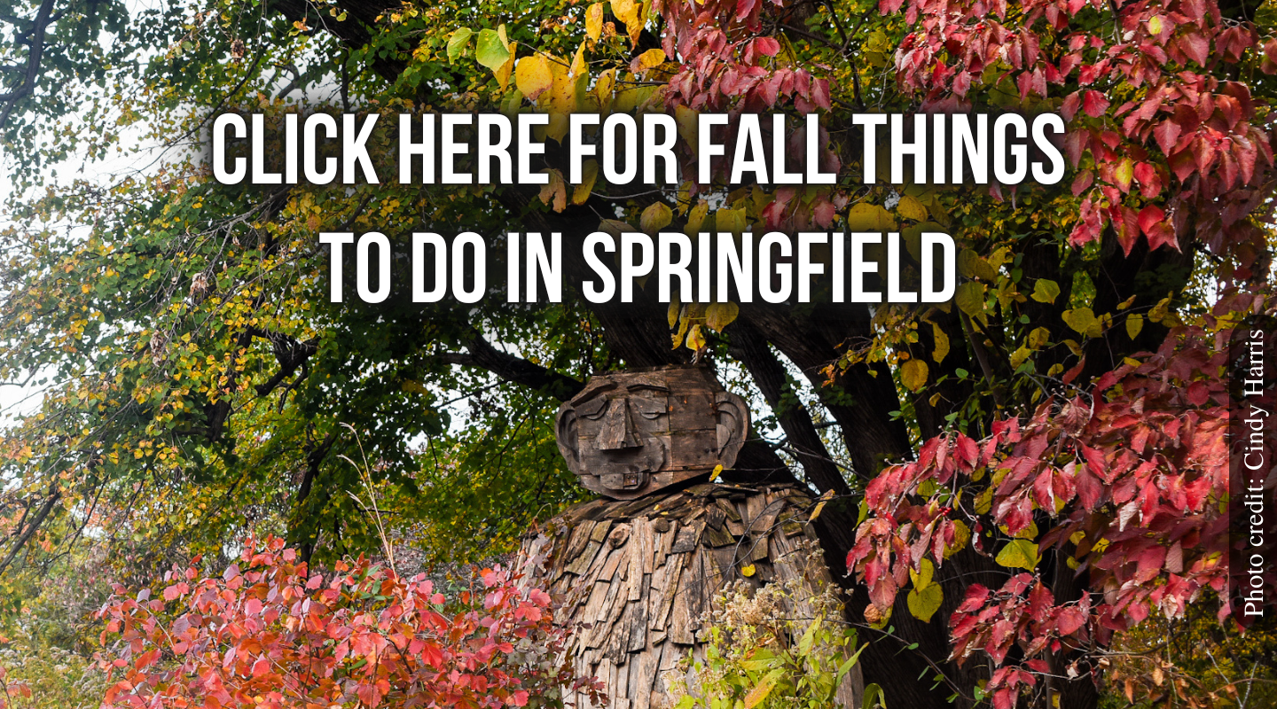 Snap Springfield