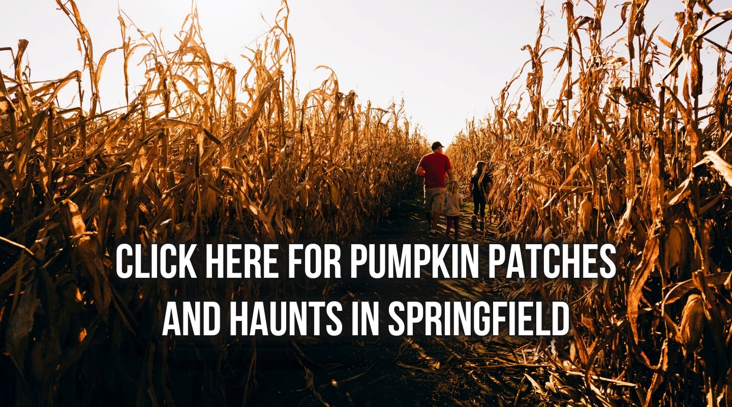 2026 Pumpkin Patches