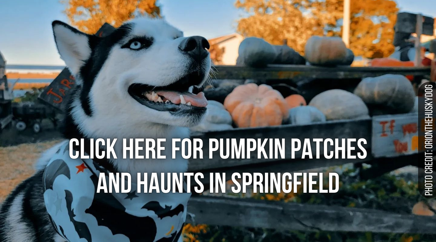 Pumpkin Patches and Haunts