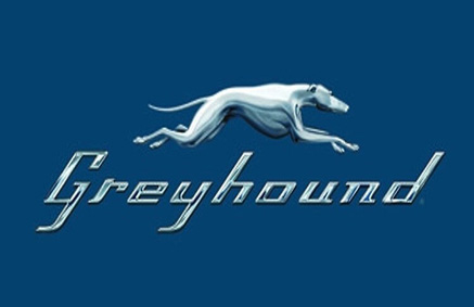 Greyhound